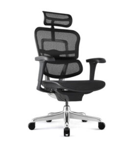 cadeira-ergohuman-raynor-presidente-nr17-01-445x485-1